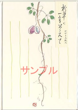 花はがき「あけび」（3枚入）