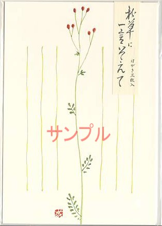 花はがき「われもこう」（3枚入）