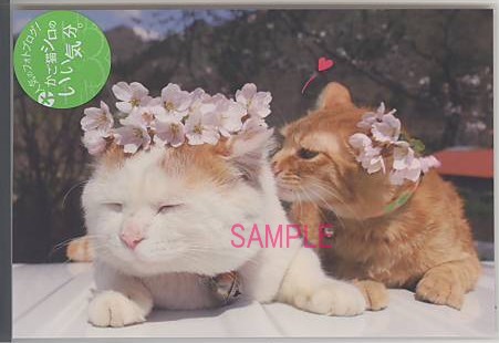 かご猫シロ・ポストカード「kiss」