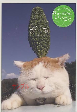 かご猫シロ・ポストカード「ゴーヤ」