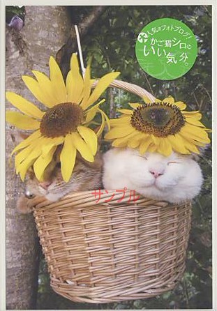 かご猫シロ・ポストカード「頭にひまわり」