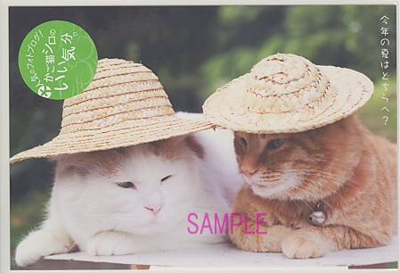 かご猫シロ・ポストカード「避暑地」