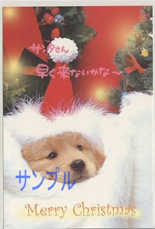 犬・ポストカード「サンタさん　早く」