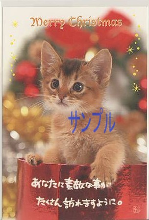 猫・ポストカード「あなたに素敵な事が」