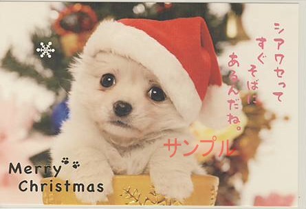 犬・ポストカード「シアワセって」