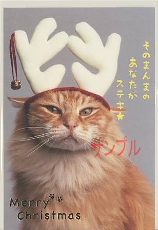 猫・ポストカード「そのまんまのあなた」