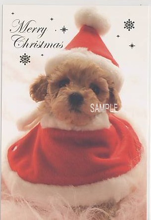 犬・ポストカード「サンタ」