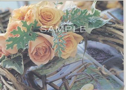 花・ポストカード「黄バラ等」