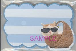 ネームカード（かご猫）