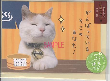 かご猫・応援（たまにはリラックス）