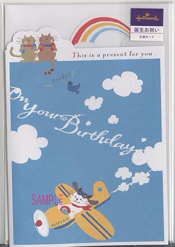 誕生日「猫；飛行機」