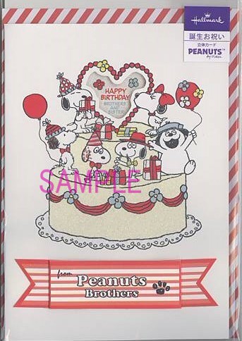 誕生日「S/N:兄弟とケーキ」