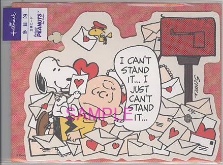 多目的「S/N:手紙に埋もれて」