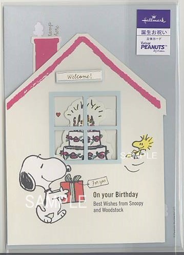 誕生日「S/N:ハウス」