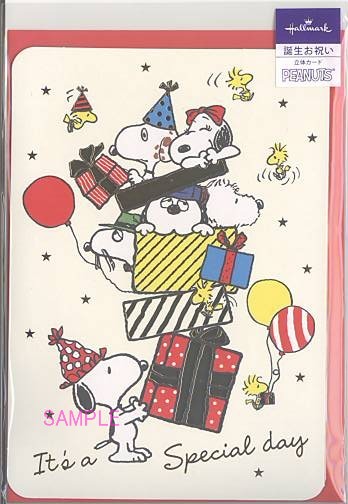 誕生日「S/N:プレゼント兄弟」