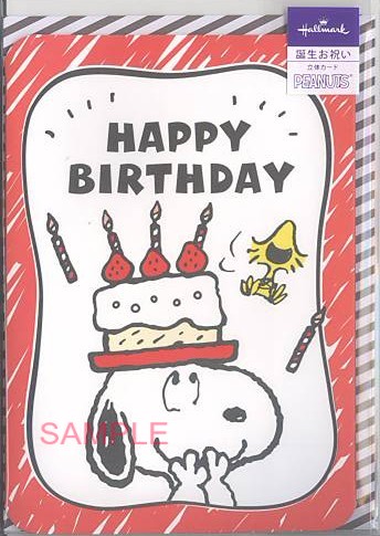 誕生日「S/N:大きないちごケーキ」