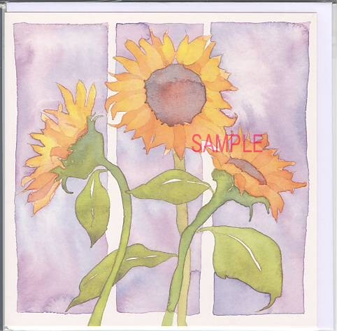 square card-多目的ひまわり