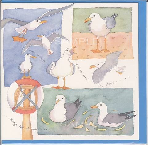 square card-夏柄(海鳥)