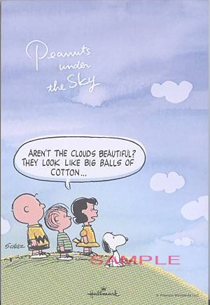 はがき箋「S/N:空の下で」