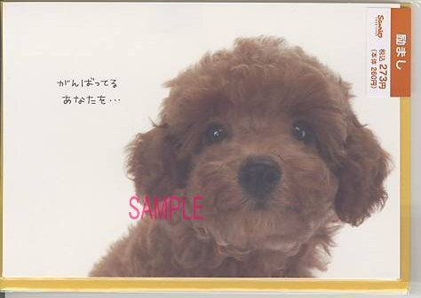 励ましカード「応援しています」