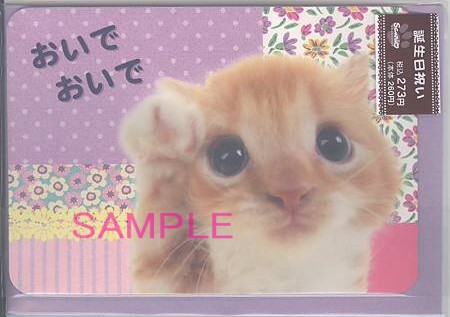 ファニーパウズ誕生日(おいで)