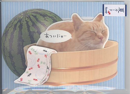 暑中・残暑見舞「猫の行水」