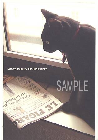 旅猫ノロ・ポストカード「フランス（新聞読）」