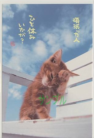 猫・ポストカード「頑張った人」