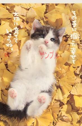 猫・ポストカード「その手に掴んだ」
