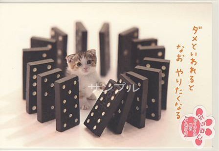 ぷちねこ・ポストカード「なお　やりたくなる」