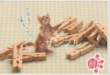 ぷちねこ・ポストカード「この手貸そっか？」