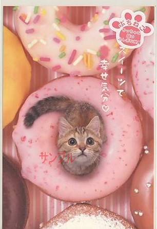 ぷちねこ・ポストカード「幸せ気分」