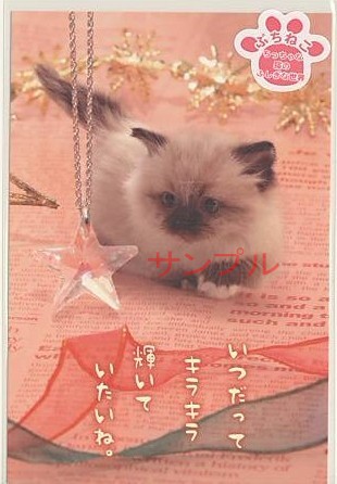 ぷちねこ・ポストカード「いつだって」