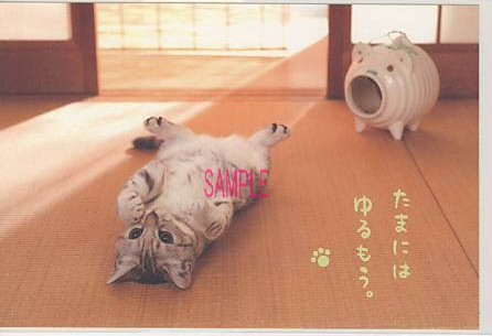 猫・ポストカード「たまにはゆるもう」