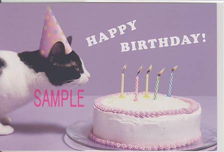 猫・ポストカード「HAPPY BIRTHDAY!」