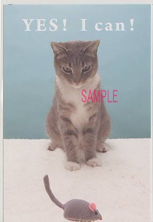 猫・ポストカード「YES! I can!」