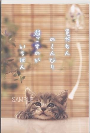 猫・ポストカード「夏だもん」