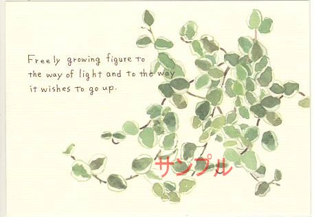 nami nami・ポストカード「Freely growing …」