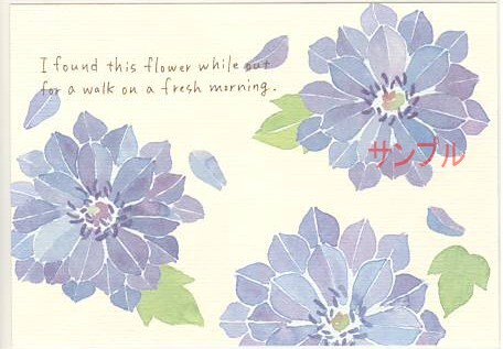 nami nami・ポストカード「I found …」