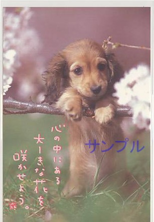 犬・ポストカード「心の中にある」