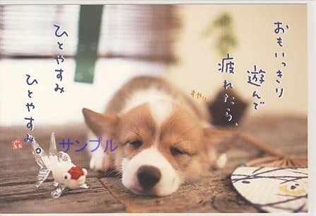 犬・ポストカード「ひとやすみ」