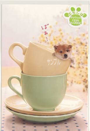 ぷちしば・ポストカード「ばぁ！」