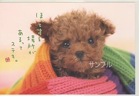 犬・ポストカード「ほっとする場所」