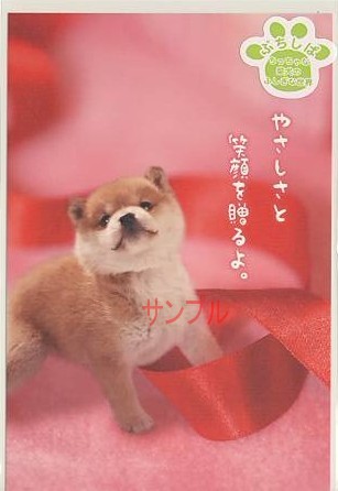 ぷちしば・ポストカード「やさしさと笑顔を」