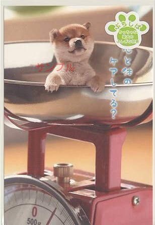 ぷちしば・ポストカード「心と体のケア」