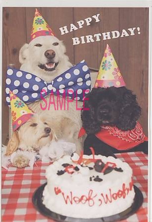 犬・ポストカード「HAPPY BIRTHDAY!」