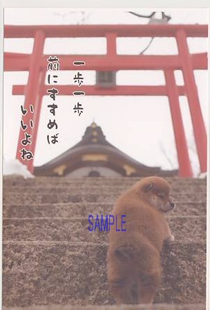 犬・ポストカード「一歩一歩」