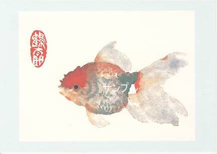 片岡鶴太郎・ポストカード「金魚」