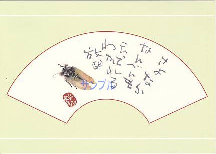片岡鶴太郎・ポストカード「せみ」