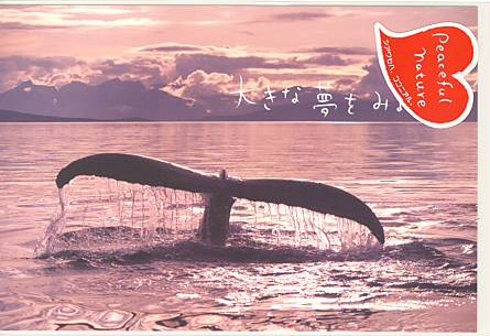 Peaceful・ポストカード「大きな夢」
